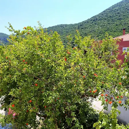 Apartmán By The Sea - Peljesac - 3157 Trpanj